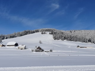 die Loipen