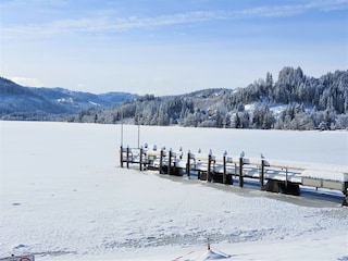 der See im Winter