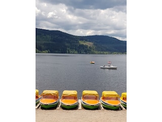 Tretboote am See