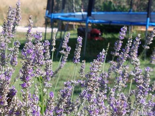 Maison de vacances Pula Enregistrement extérieur 11