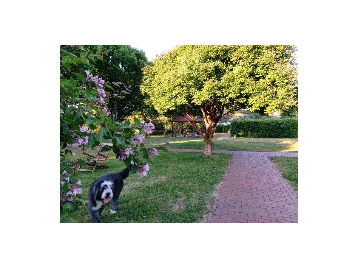 Josef im Garten