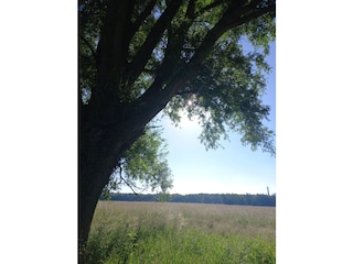 Hinterm Haus im Feld