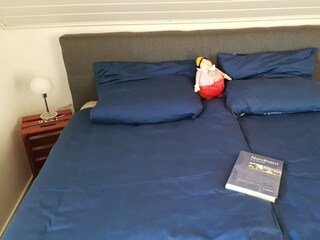 Casa per le vacanze Nordhorn Caratteristiche 14