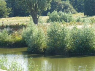 Maison de vacances Nordhorn Environnement 32
