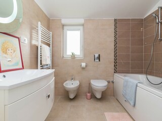 Villa Tinjan Caratteristiche 20