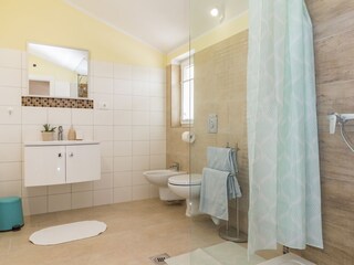 Villa Tinjan Caratteristiche 23