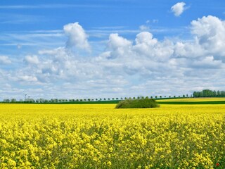 Casa per le vacanze Boiensdorf Ambiente 36