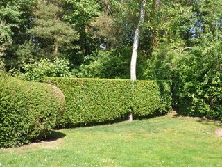 Der Garten
