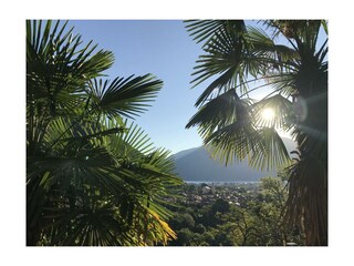 Appartamento per vacanze Cannobio Registrazione all'aperto 11