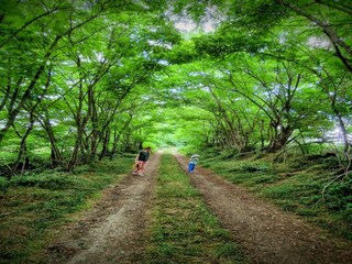 Casa per le vacanze Issy-l'Eveque Ambiente 29