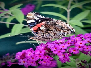 Maison de vacances Issy-l'Eveque  39