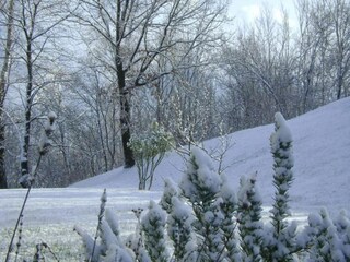 Cottage Ponte nelle Alpi Umgebung 35