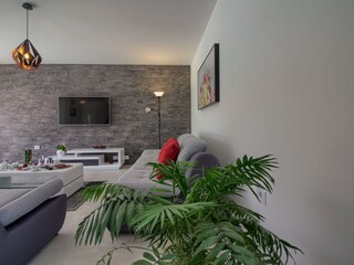 Villa Šišan Caratteristiche 24