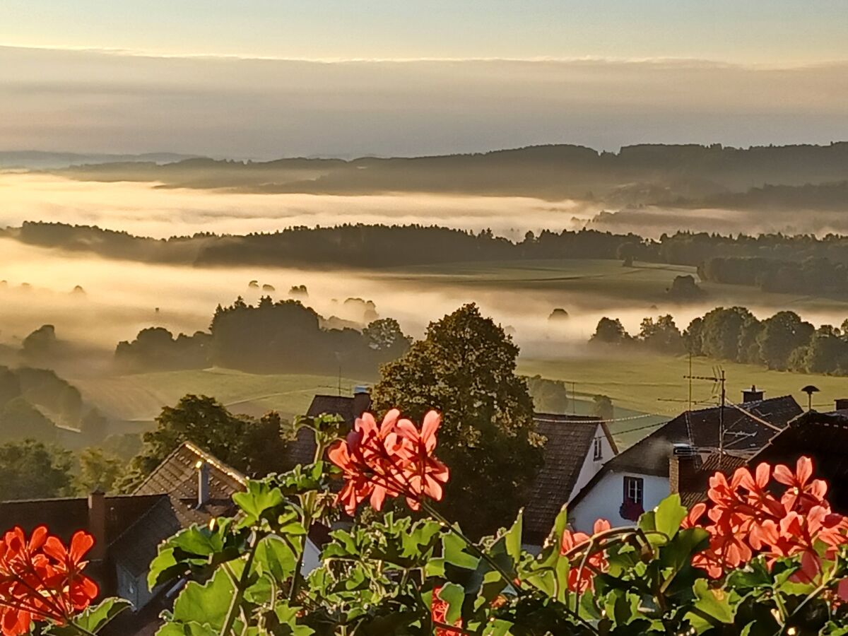 View from the balcony