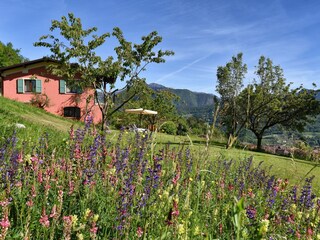 Vakantieappartement Tignale Buitenaudio-opname 3