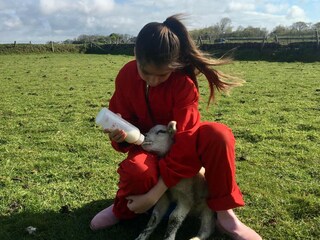 Appartamento per vacanze Den Burg Ambiente 25