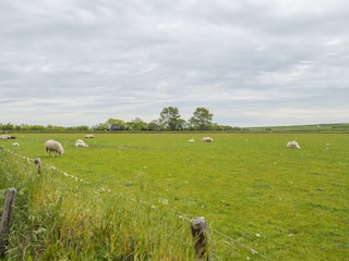 Appartamento per vacanze Den Burg Registrazione all'aperto 8