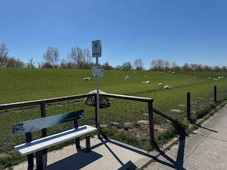 Ein Plätzchen zum Verweilen hinter dem Deich