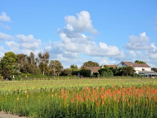 Appartamento Noordwijk Ambiente 22