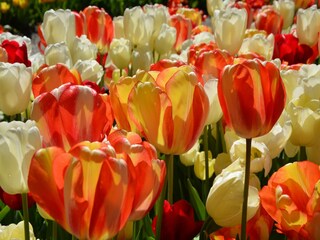 Appartement Noordwijk Omgeving 26