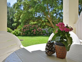 Apartment Moliets-Plage Outdoor Recording 8
