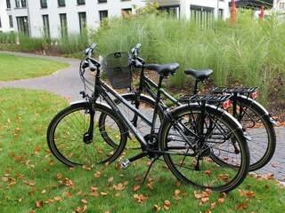 Zwei moderne Trekking Fahrräder