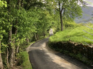 Casa per le vacanze Bagni di Lucca Ambiente 25