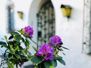 Appartamento per vacanze Garmisch-Partenkirchen Registrazione all'aperto 2