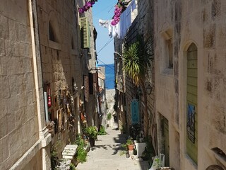 Casa per le vacanze Korcula (Stadt) Ambiente 31