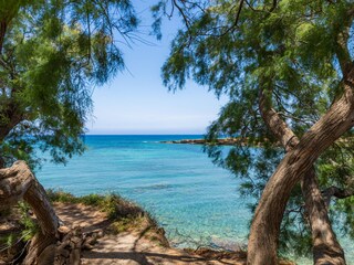 Finca Betlem Environment 20