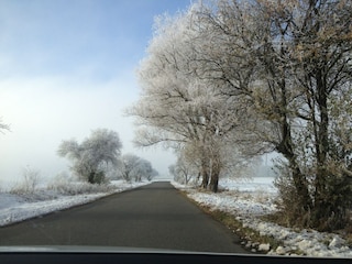 Appartement Kühlungsborn Omgeving 22