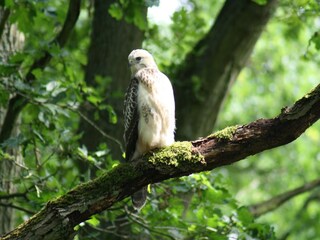 Apartment Kühlungsborn  38