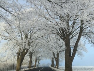 Appartamento Kühlungsborn Ambiente 32