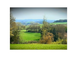 Ferienwohnung Hellenthal  31