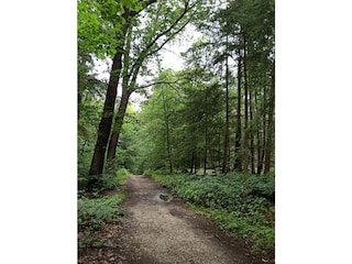 Ferienwohnung Hellenthal  33