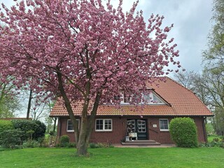 Ferienhaus Ansicht vorne