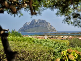Appartamento per vacanze Porto San Paolo Ambiente 20