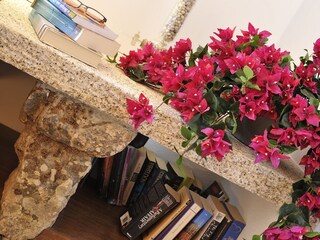 Appartamento per vacanze Porto San Paolo Caratteristiche 14