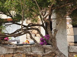 Appartamento per vacanze Porto San Paolo Registrazione all'aperto 8