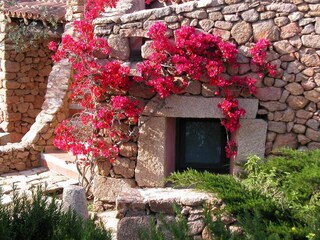 Appartement de vacances Porto San Paolo Enregistrement extérieur 2