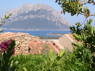 Apartamento de vacaciones Porto San Paolo Entorno 20