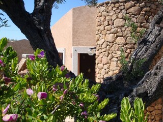 Appartamento per vacanze Porto San Paolo Registrazione all'aperto 3