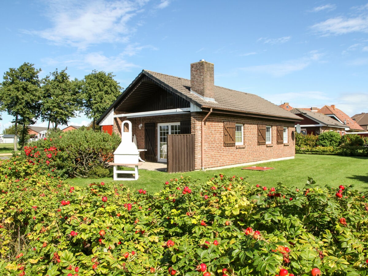 Ferienhaus Deichglück mit Garten