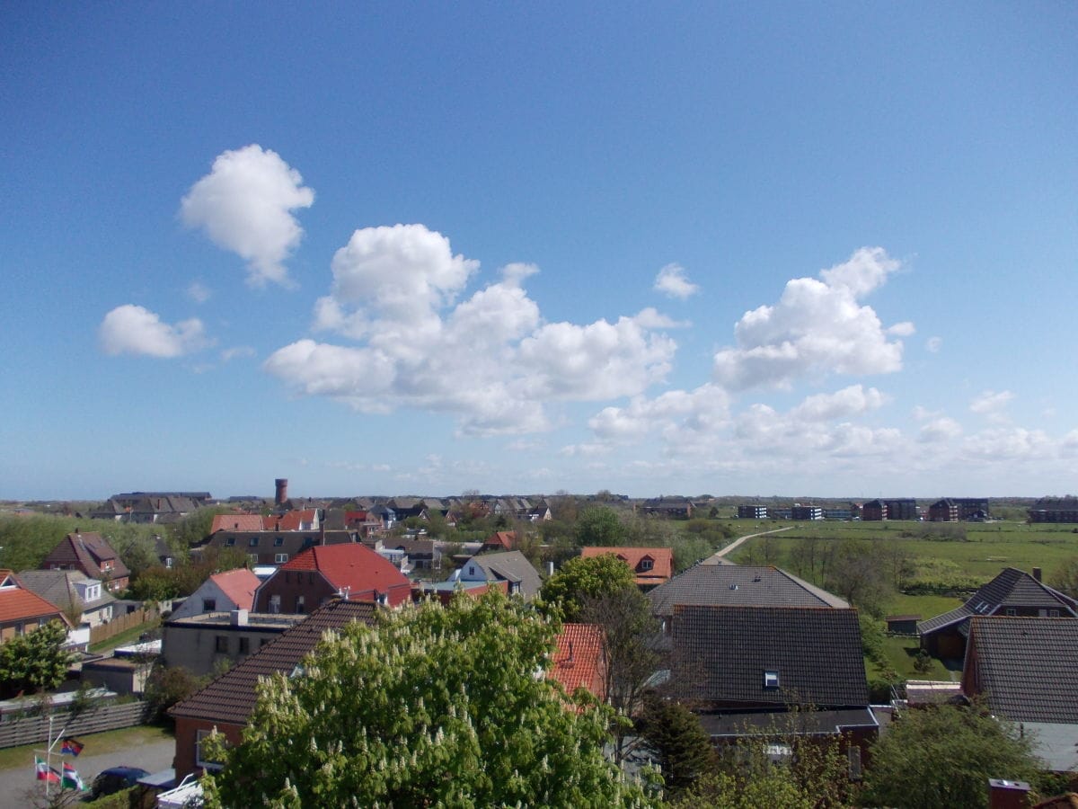 Frühling auf der Insel