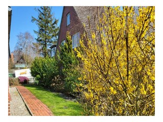 Casa de vacaciones St. Peter-Ording Grabación al aire libre 39