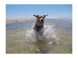 Casa per le vacanze Saint-Germain-sur-Ay Ambiente 19