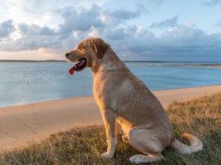 Vakantiehuis Saint-Germain-sur-Ay Omgeving 13