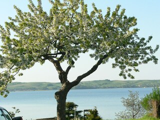 Blick auf den See