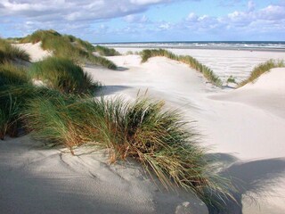 Stranddünen