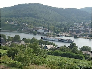 Blick auf die Mosel
